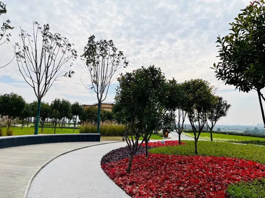 西安市高陵区:泾渭分明处 宛若画里行凤凰网陕西_凤凰网