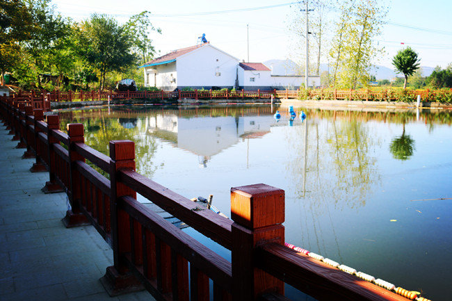 马鞍山善厚镇:环境"蝶变" 以"和"兴村凤凰网安徽_凤凰网