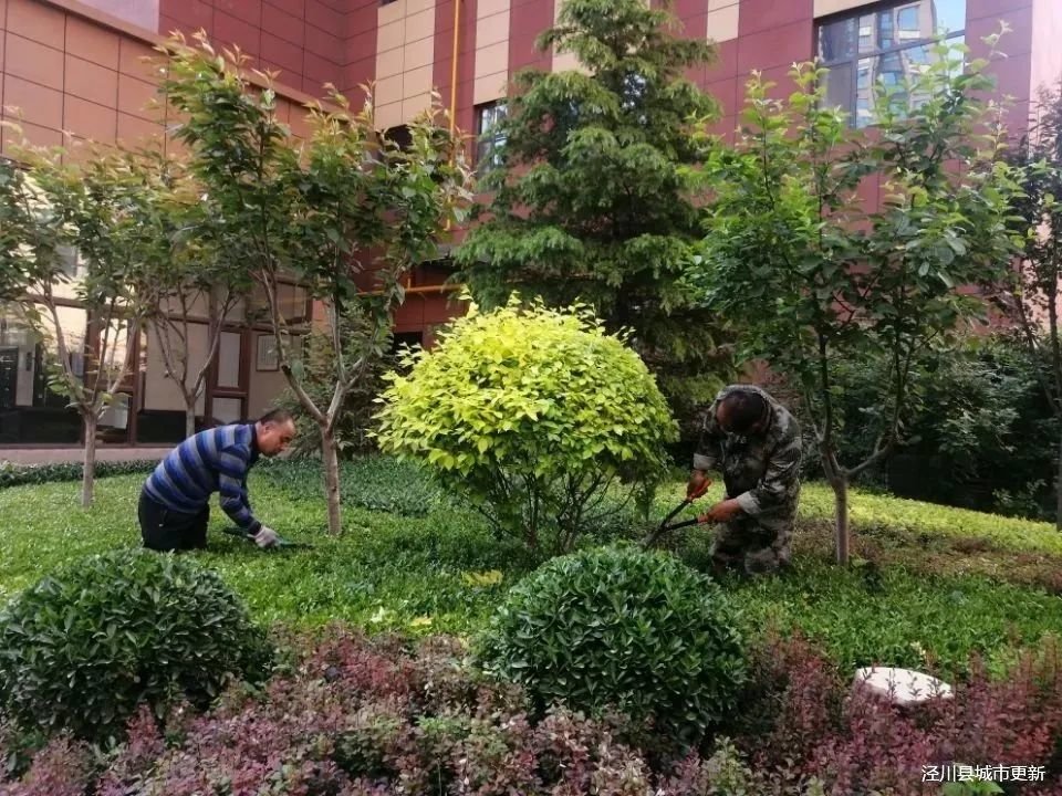 聚焦民生解难题 甘肃泾川“颜值”蹭蹭涨