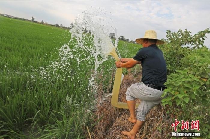 江西逾500万人因旱受灾农作物受灾面积超千万亩