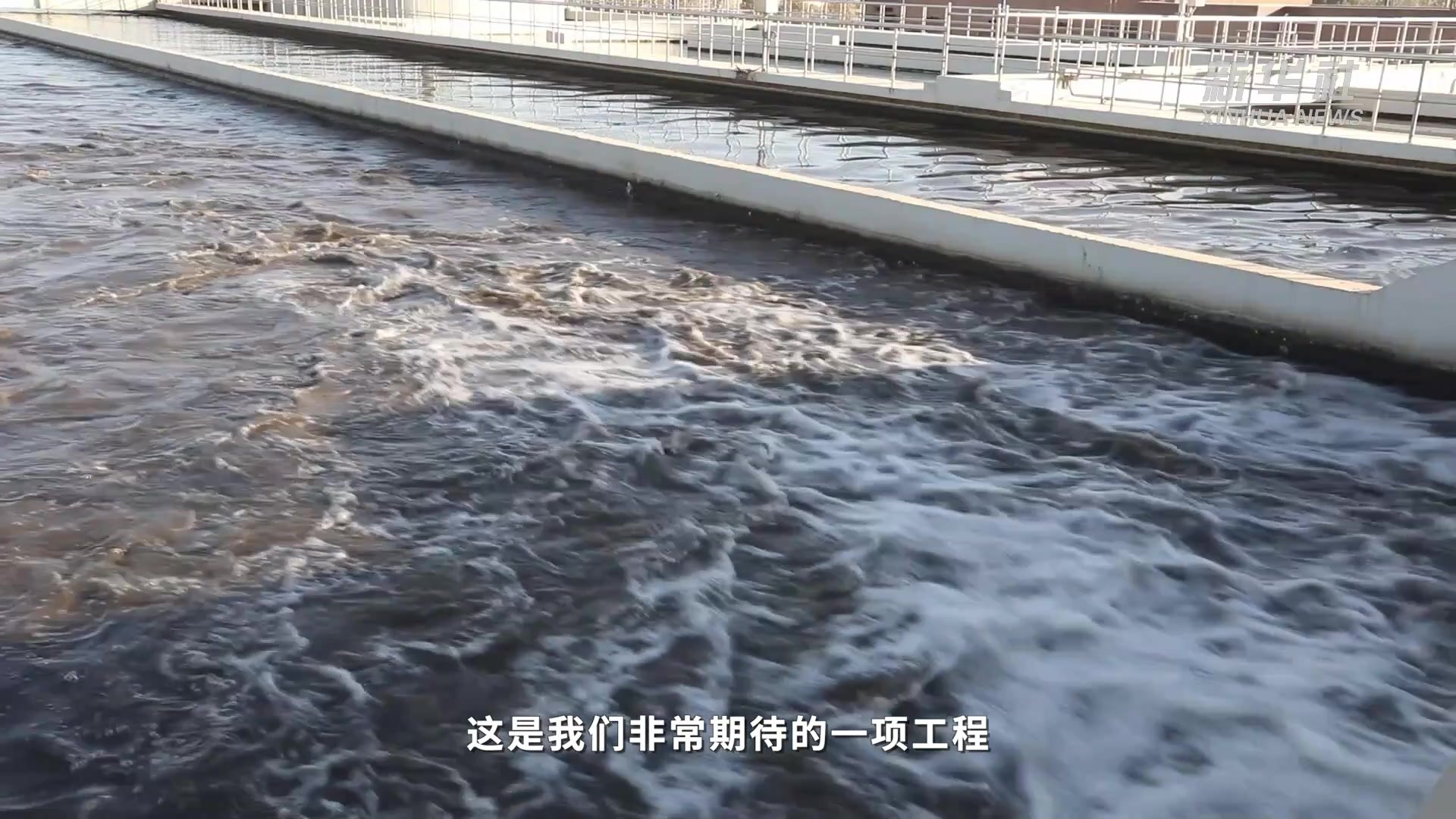 新时代微故事｜玫瑰的新生