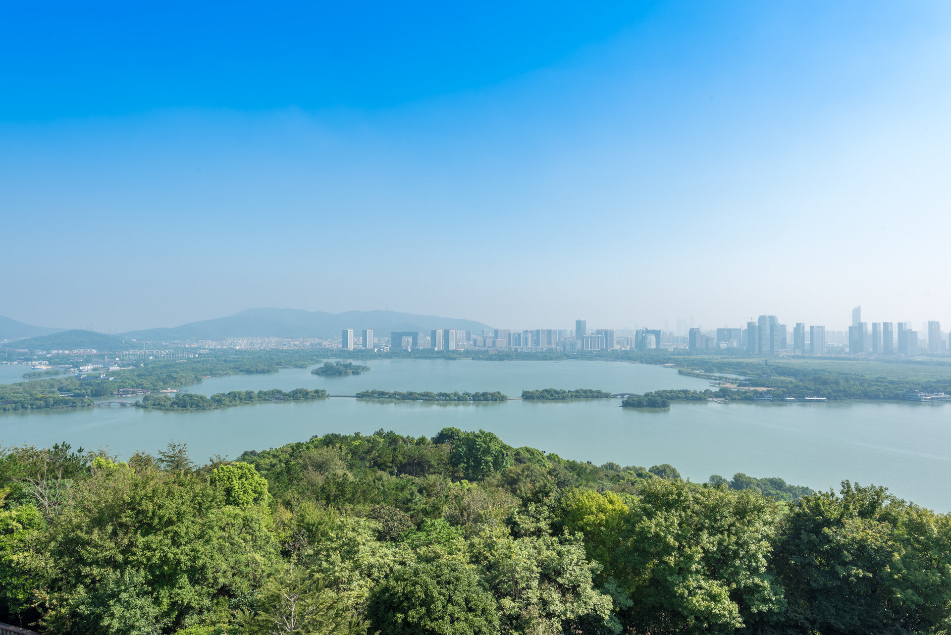 滨湖区委书记孙海东：营造更一流留才环境，构建更宽广人才格局