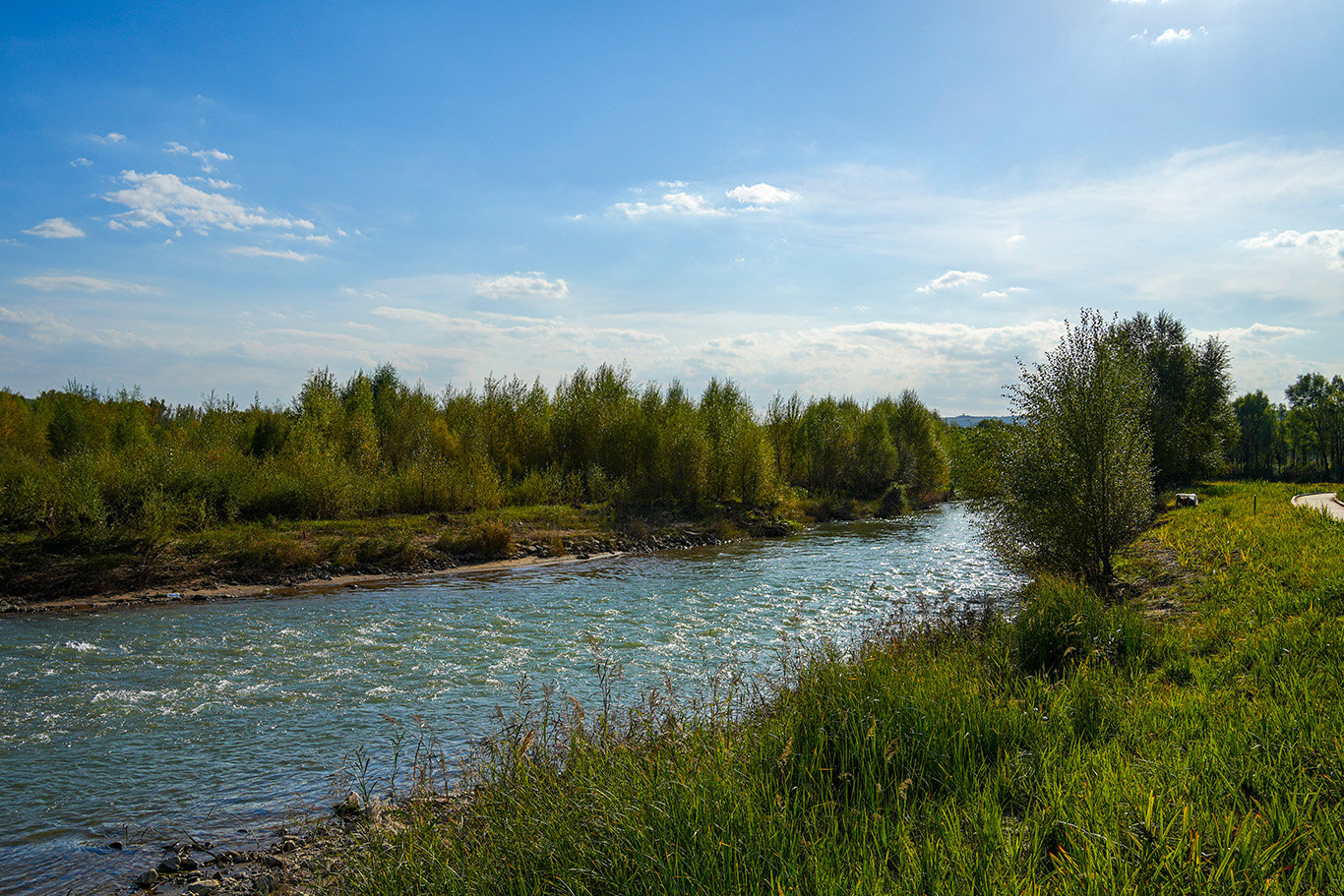 "静乐县委书记宣文晓说,2014年起,汾河川湿地公园项目,庆鲁沟生态保护
