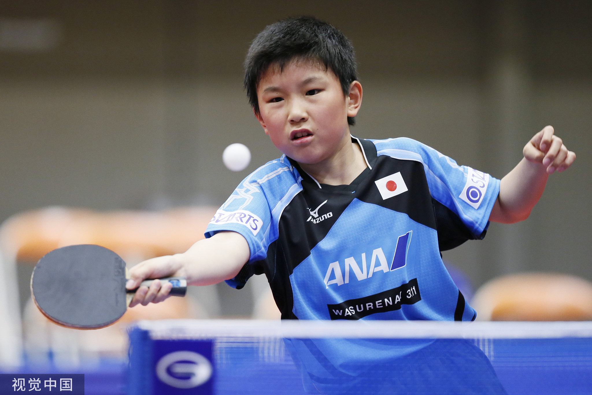 2014年，张本智和就开始代表日本队参赛