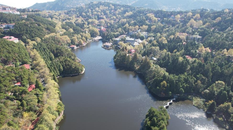 庐山:梧桐叶黄秋色浓(图)