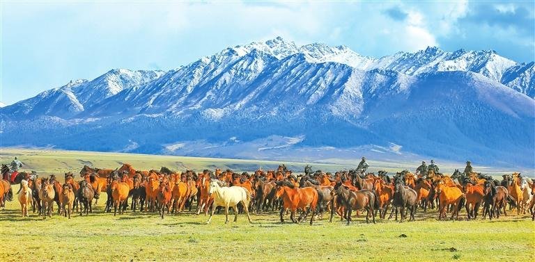 山丹马场 新甘肃&middot;甘肃日报通讯员 王超