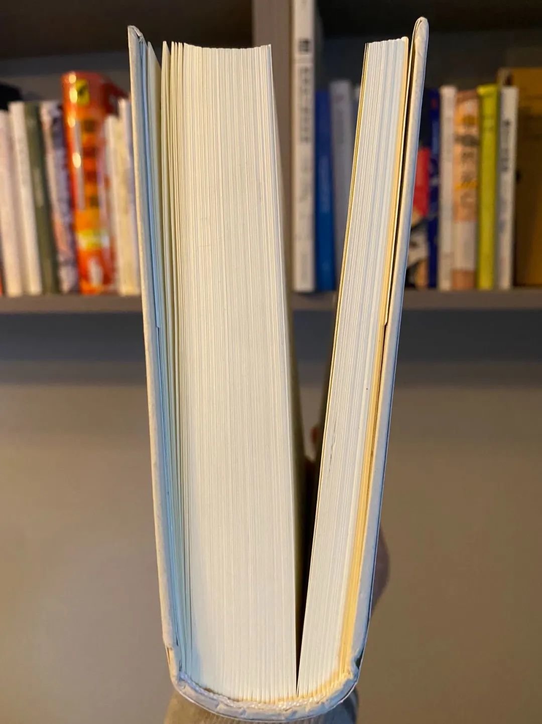 一本采取“尾注”的书的注释厚度（右边是注释）。