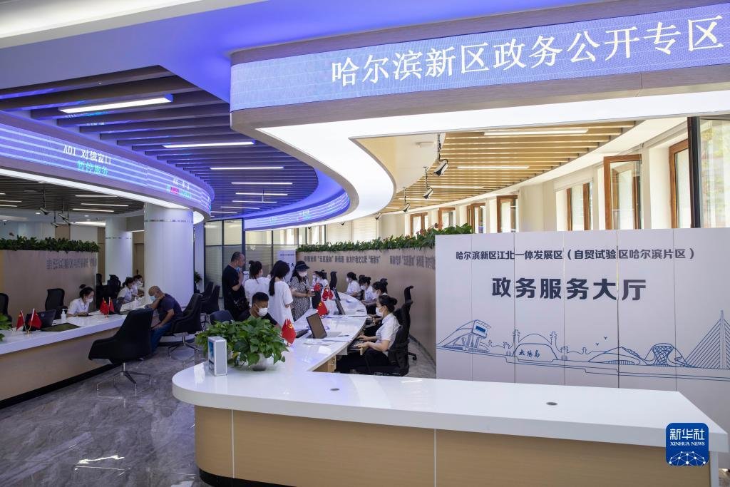 在黑龙江省哈尔滨新区江北一体发展区(自贸试验区哈尔滨片区)政务服务大厅，市民在办理业务（2022年7月12日摄）。新华社记者 张涛 摄