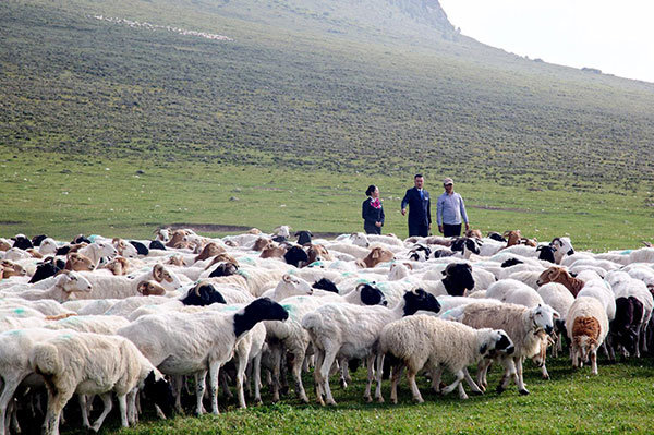 邮储银行积极服务乡村振兴战略。图为邮储银行信贷客户经理走访牧民客户。