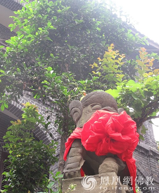 走进千年慈云寺:重庆最朋克古刹,山城中“不一样的烟火”