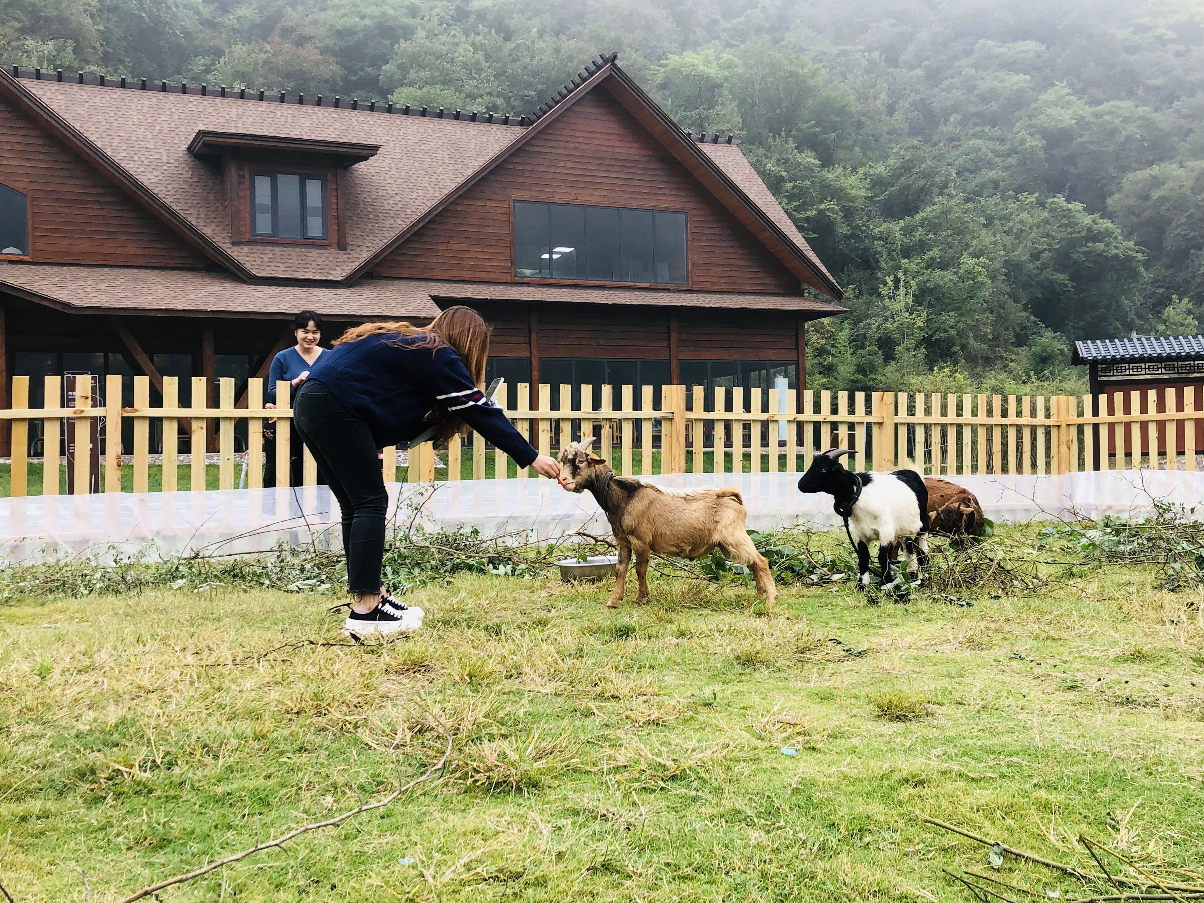 仰韶仙门山：体旅融合发展，让美景动起来