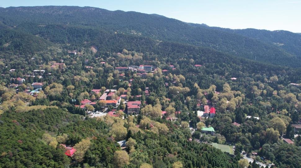 庐山:梧桐叶黄秋色浓(图)