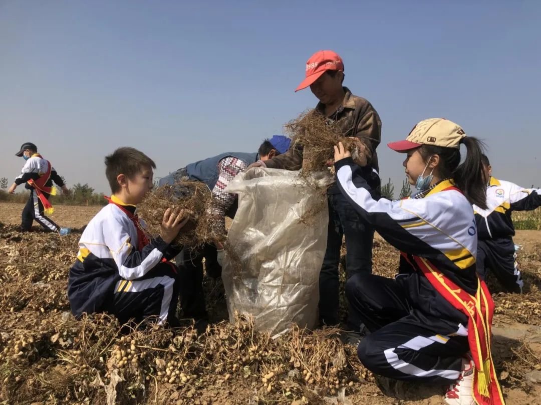 唐山市路北区：双进活动促双减，劳动教育谱新篇
