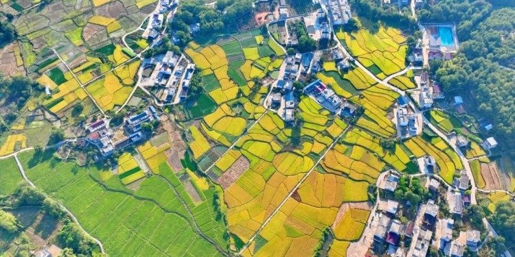 穿越赣鄱大地：江西自驾游全攻略,个人经验,露营,安全,江西,自驾游,井冈山,三清山,庐山,龙虎山,江西山水,山水文化,第1张