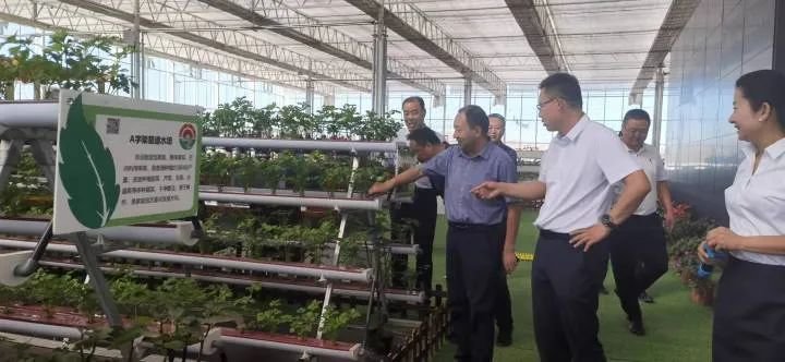▲市乡村振兴局开展现代设施农业示范点调研活动