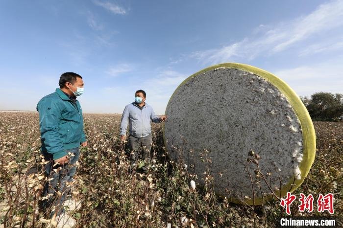 新疆棉花机械化率图片