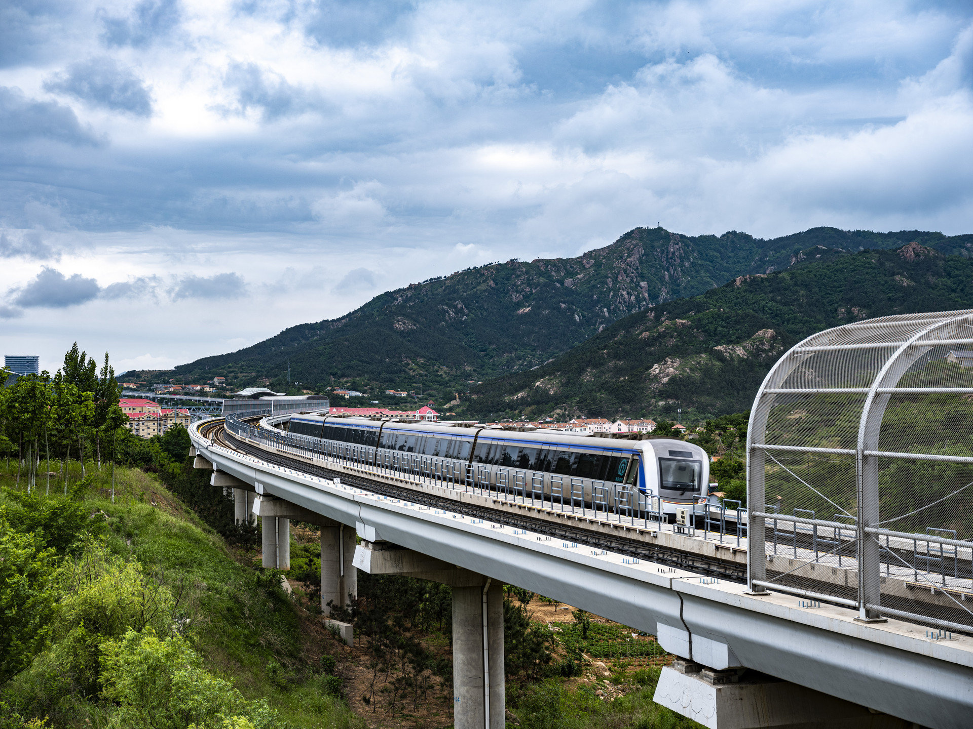 这是青岛地铁独有的模样:地图上,墨绿色的地铁站从城市中心向四周星星