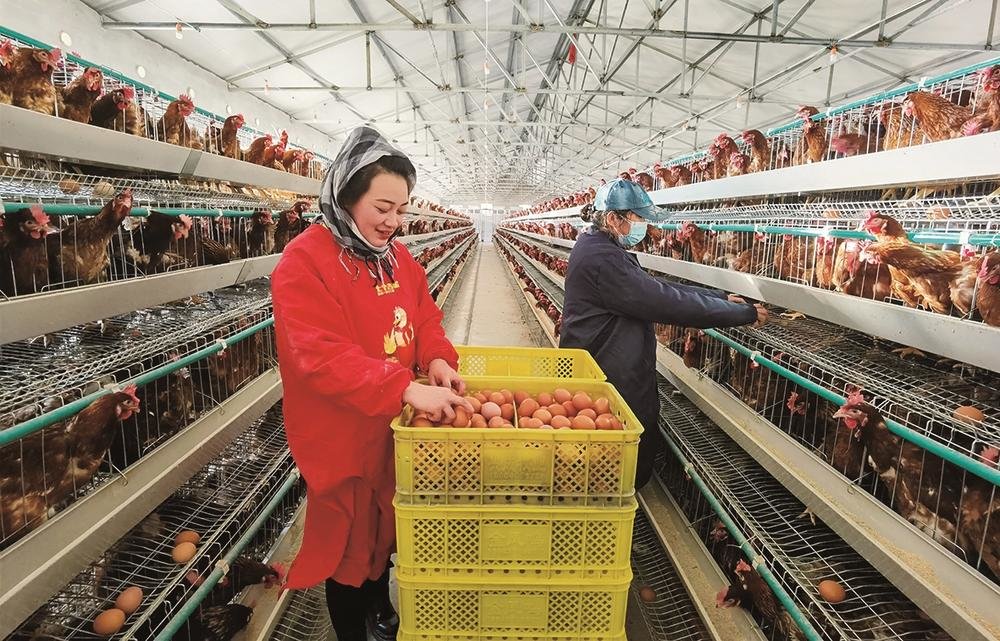 激活养殖产业，富裕一方百姓。本报记者 隋二龙 摄