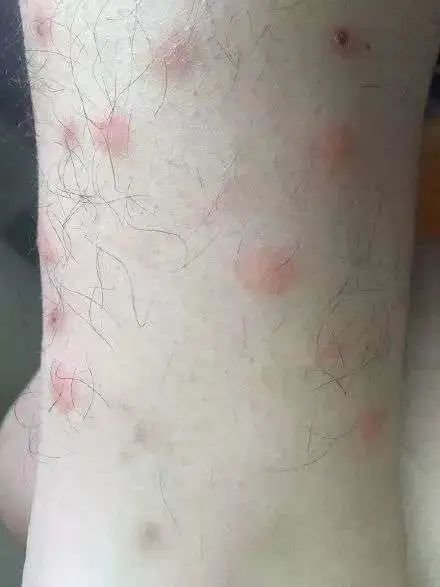 图：微博@人没死就行