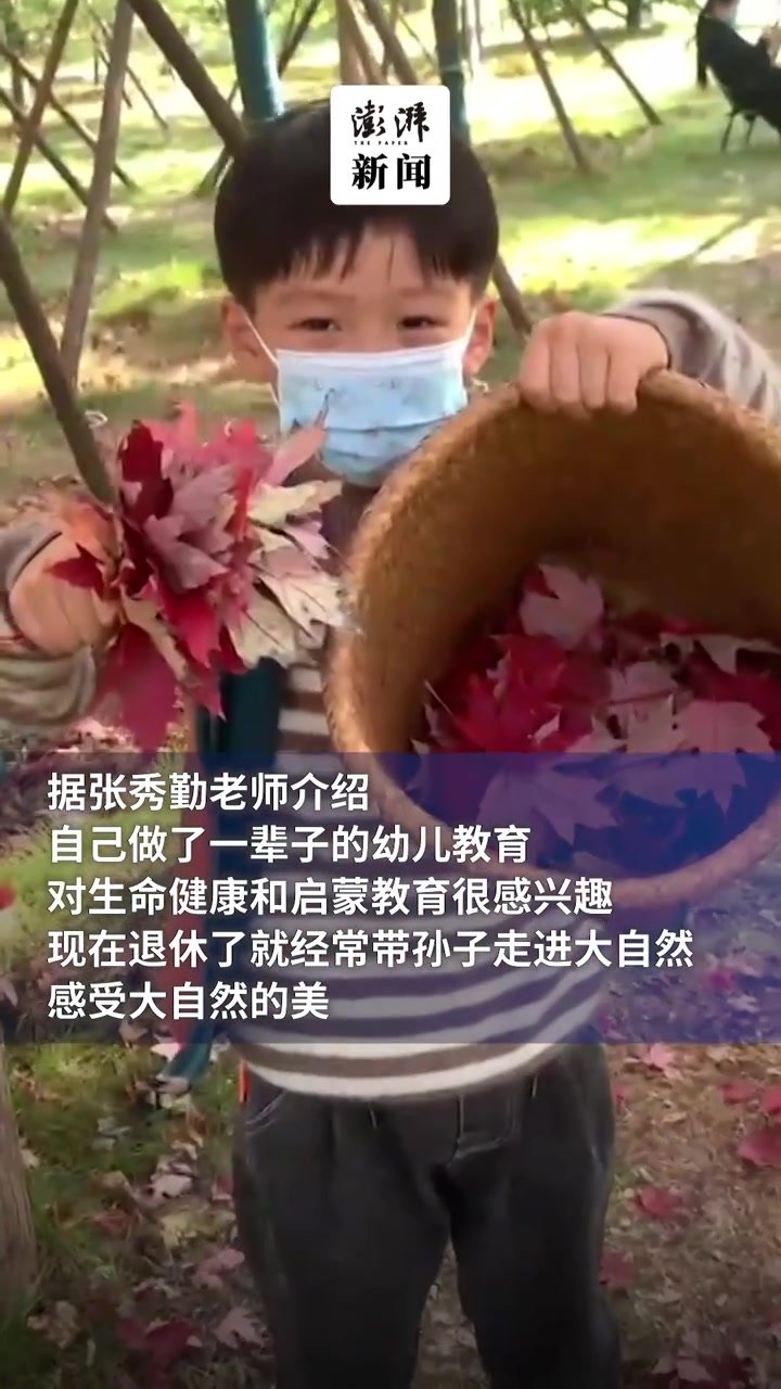 奶奶带5岁孙子野外捡树叶做标本画：感受大自然的美