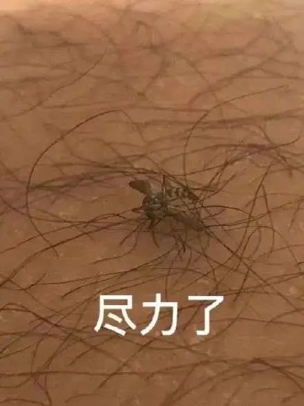 微博：@追风少年刘全有