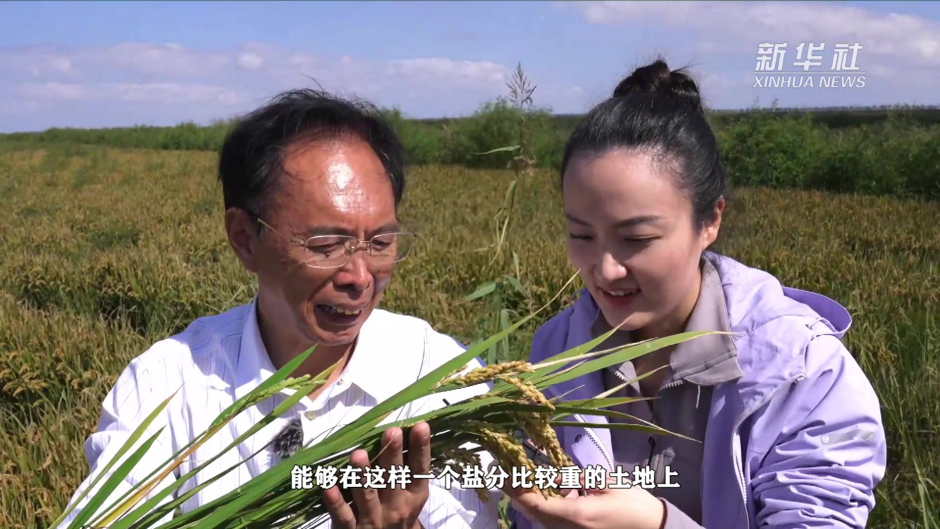 世界粮食日：“藏粮于技”粉砂土地喜获丰收