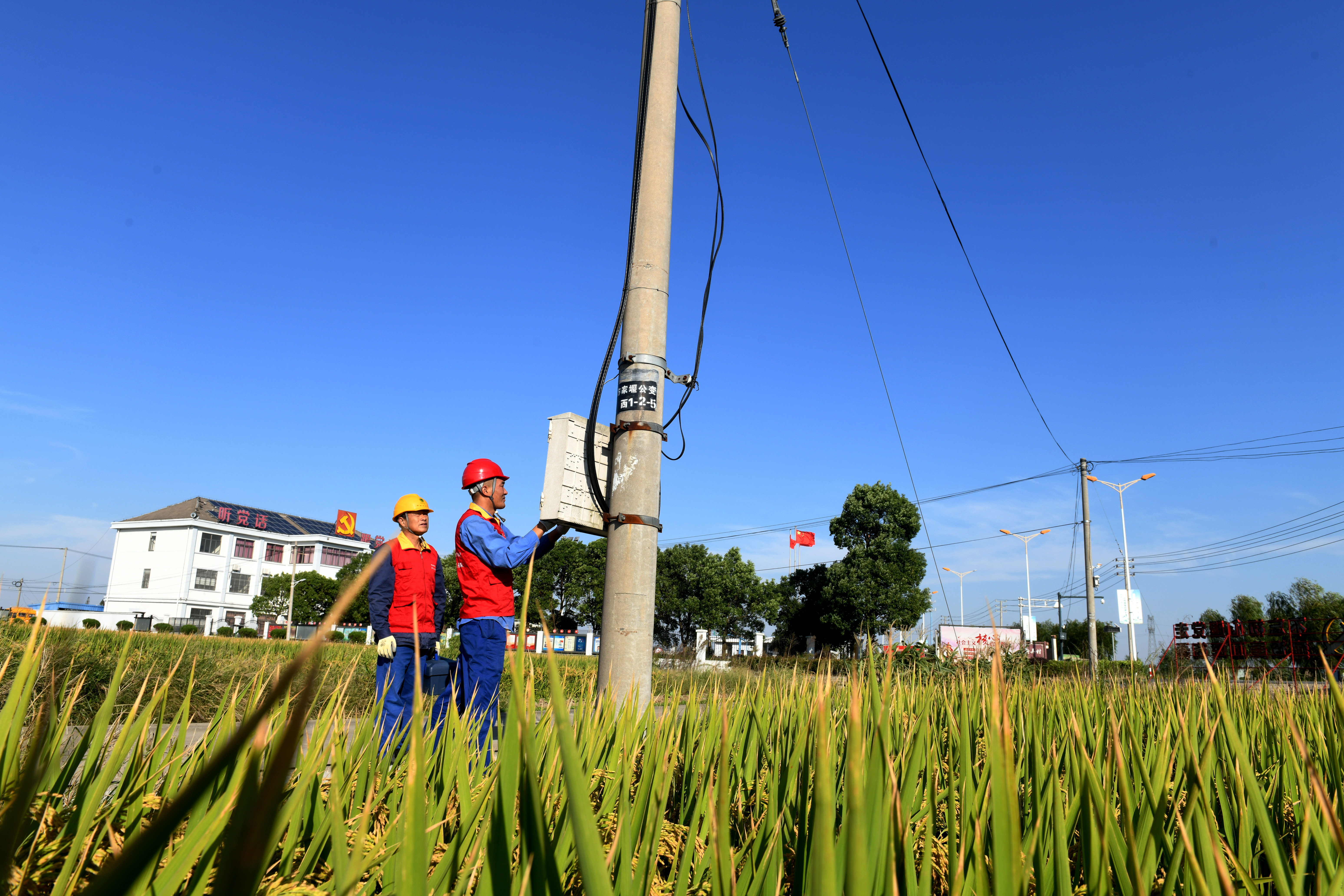 國網餘姚市供電公司保電金十月秋收好豐景