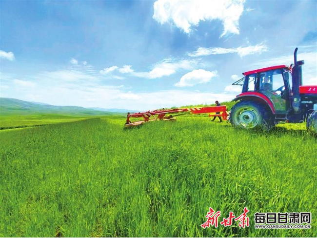 岷县畜牧产业拓宽群众致富路