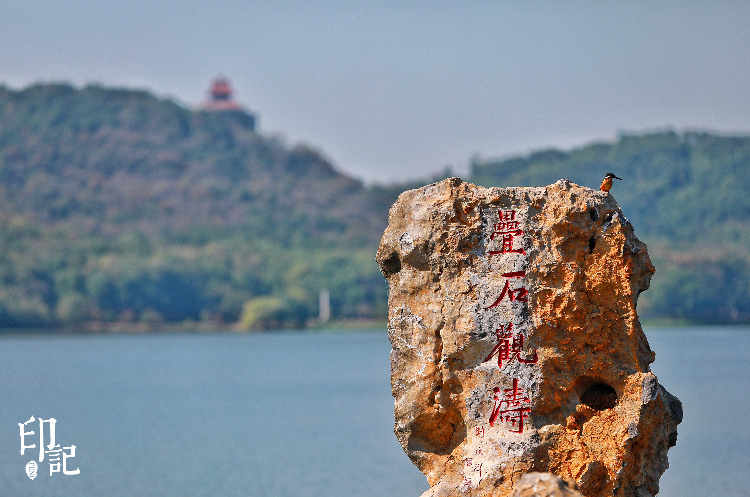 国家级湿地公园,国家生态旅游示范区,武汉市东湖生态旅游风景区坚定不
