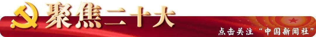 1/2、1/3、1/4、10%……这些数字为何在二十大新闻中心密集出现？