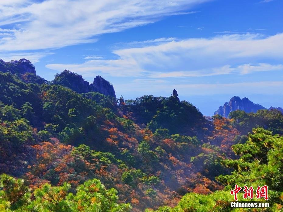 层林尽染秋韵浓 安徽黄山风景区迎来“醉”美秋景