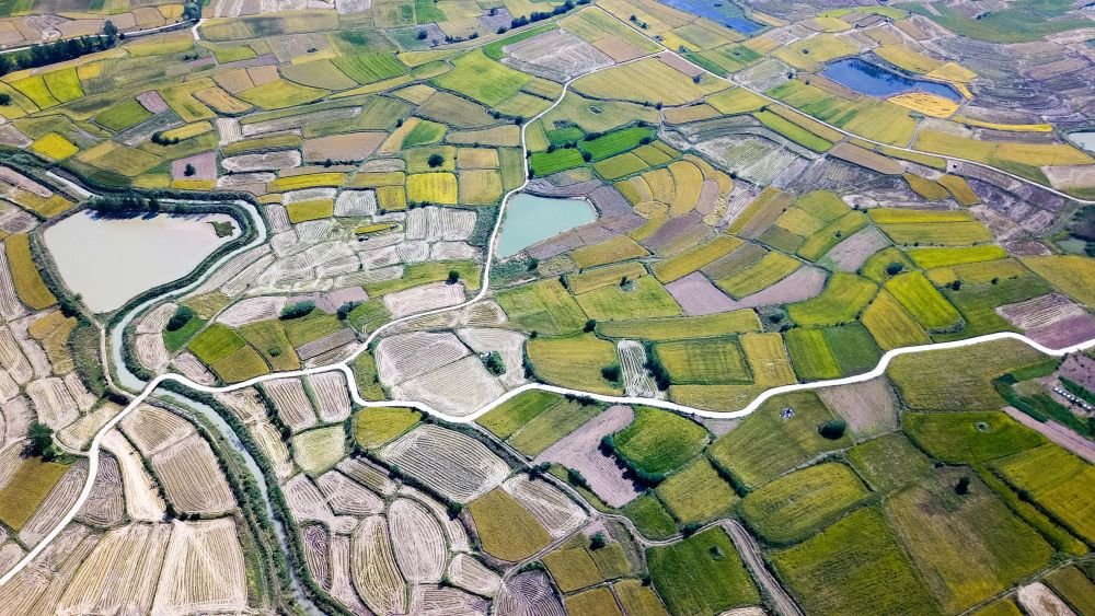 安徽省凤阳县小岗村的田野景象(2018年9月27日摄,无人机照片)。新华社记者 张端 摄
