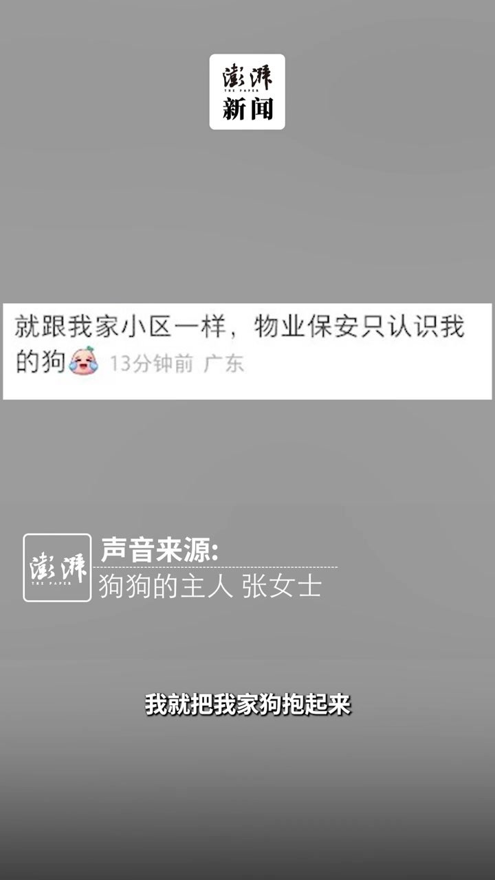 狗狗扫脸打开小区门禁，主人：很意外，有点搞笑