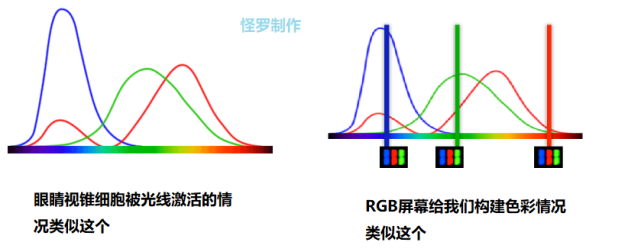 电脑屏幕的颜色只对我们有效吗?其它动物在屏幕上会看到什么?