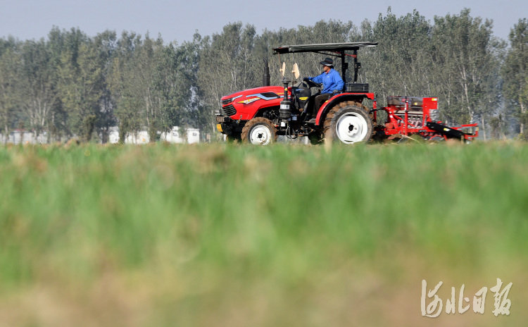 10月23日,石家庄市栾城区范台村农民在播种小麦。