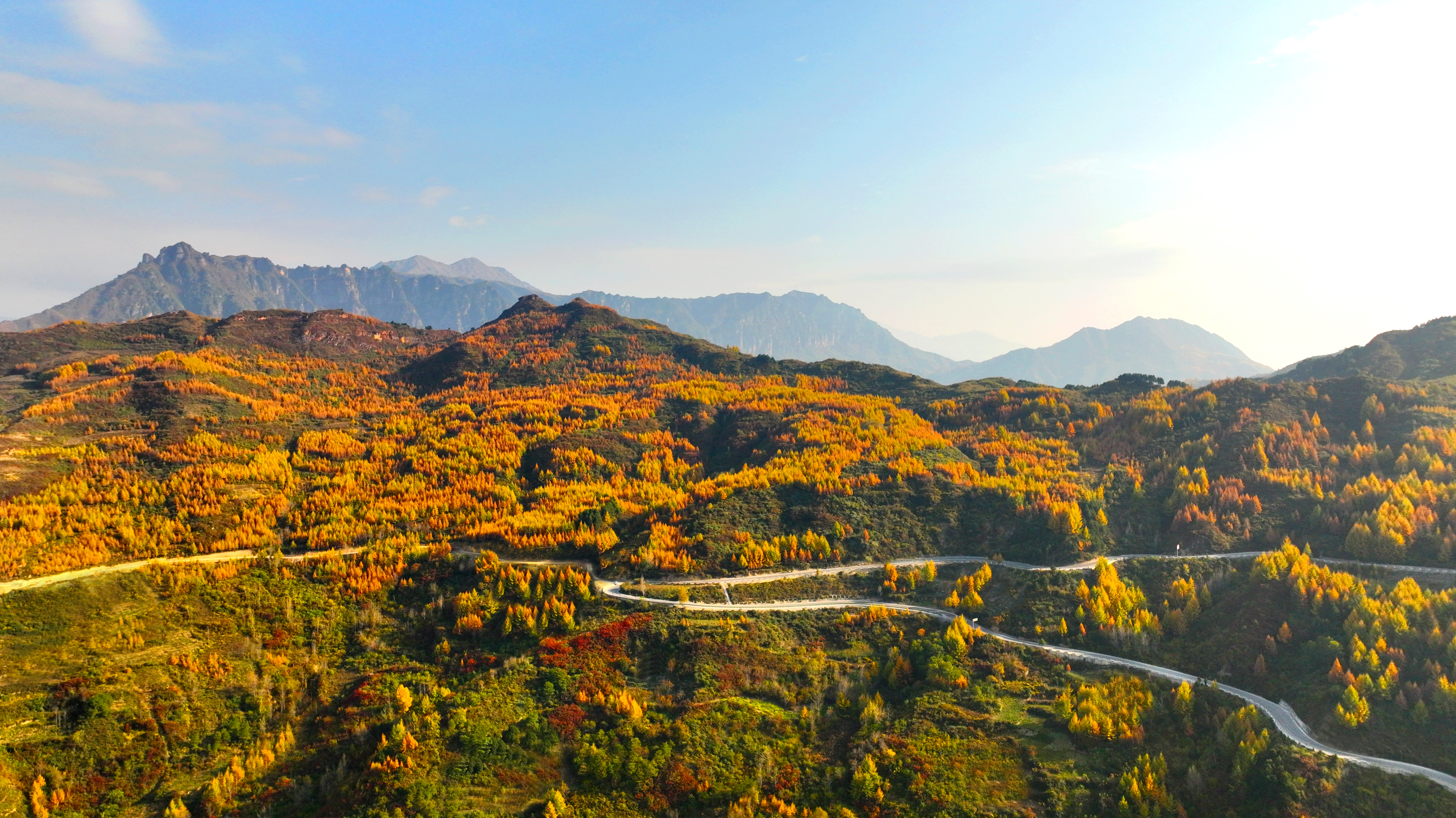 仙境文县 秋染高楼山