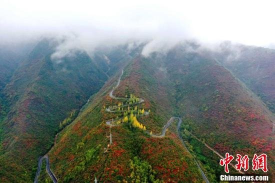 航拍保康县崇山峻岭间的“四好农村路”。