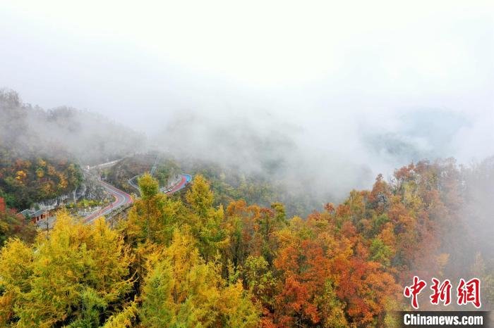 航拍保康县马桥镇尧治河村云雾缭绕 杨韬 摄