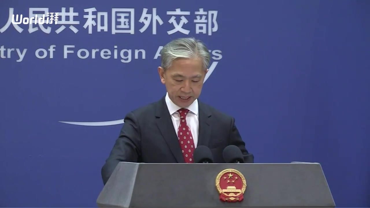 荷兰媒体称中国在荷兰运营“非法警察站”？外交部驳斥