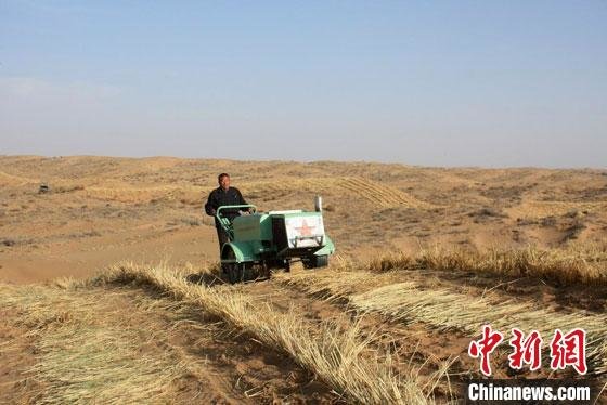 渐别“沙漠等同于沙害”认知甘肃科学逆转沙区劣势催生新资源