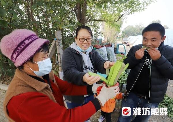 在潍城区北关街道东夏庄社区，市民正在品尝“潍县萝卜”。