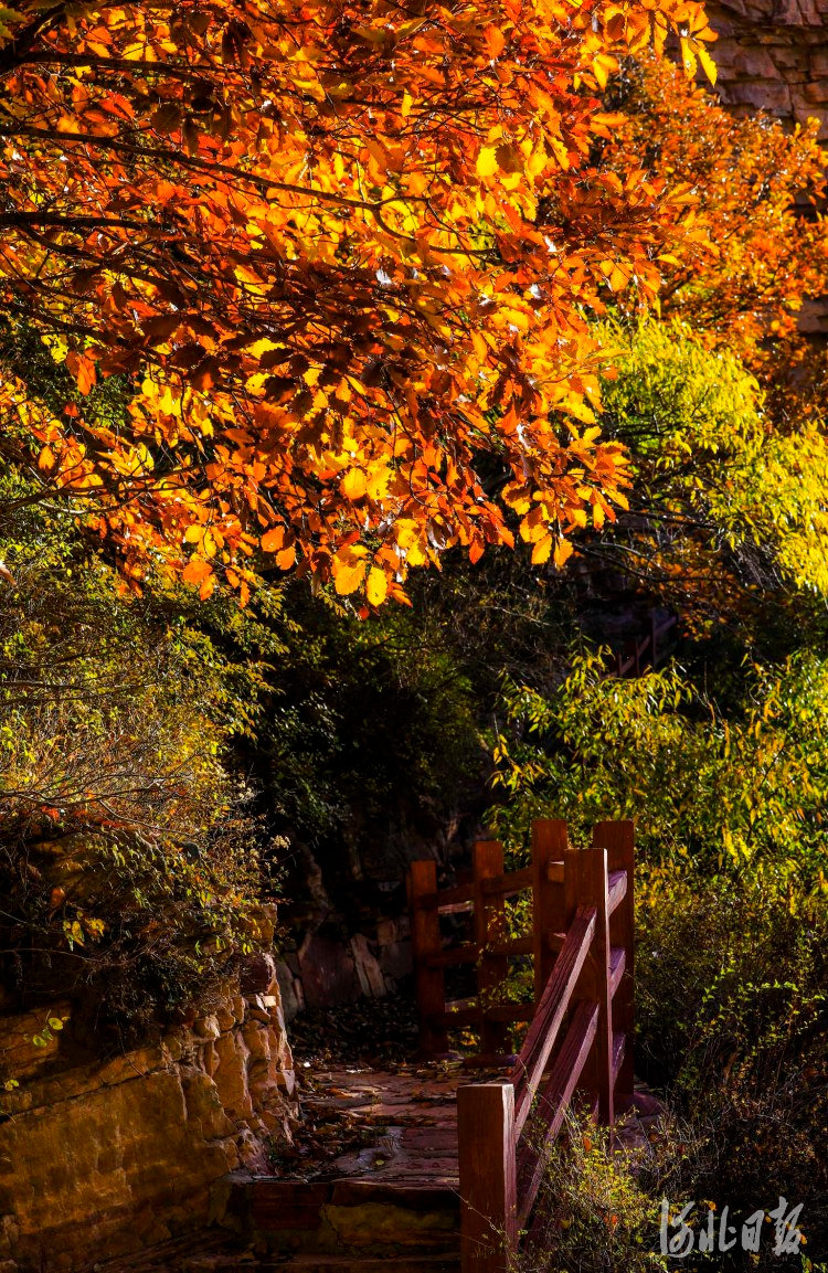 内丘县寒山风景区秋景。
