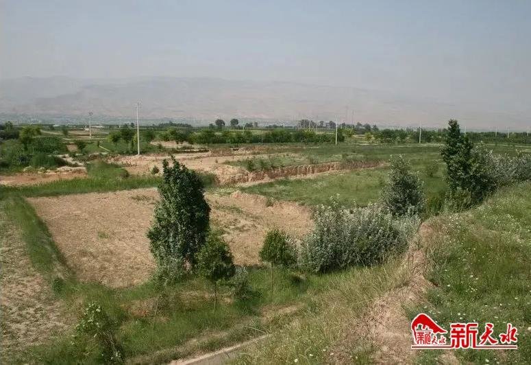 洛门东旱坪遗址