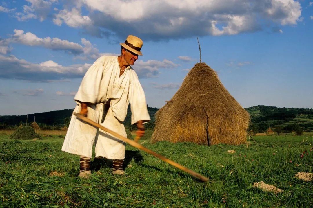 莫羅&middot;卡里 Mauro Carli（意大利）作品