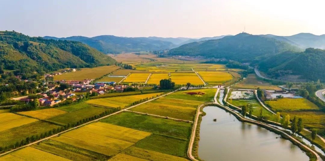 直罗镇当地供图