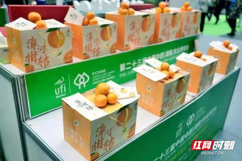 活动现场。