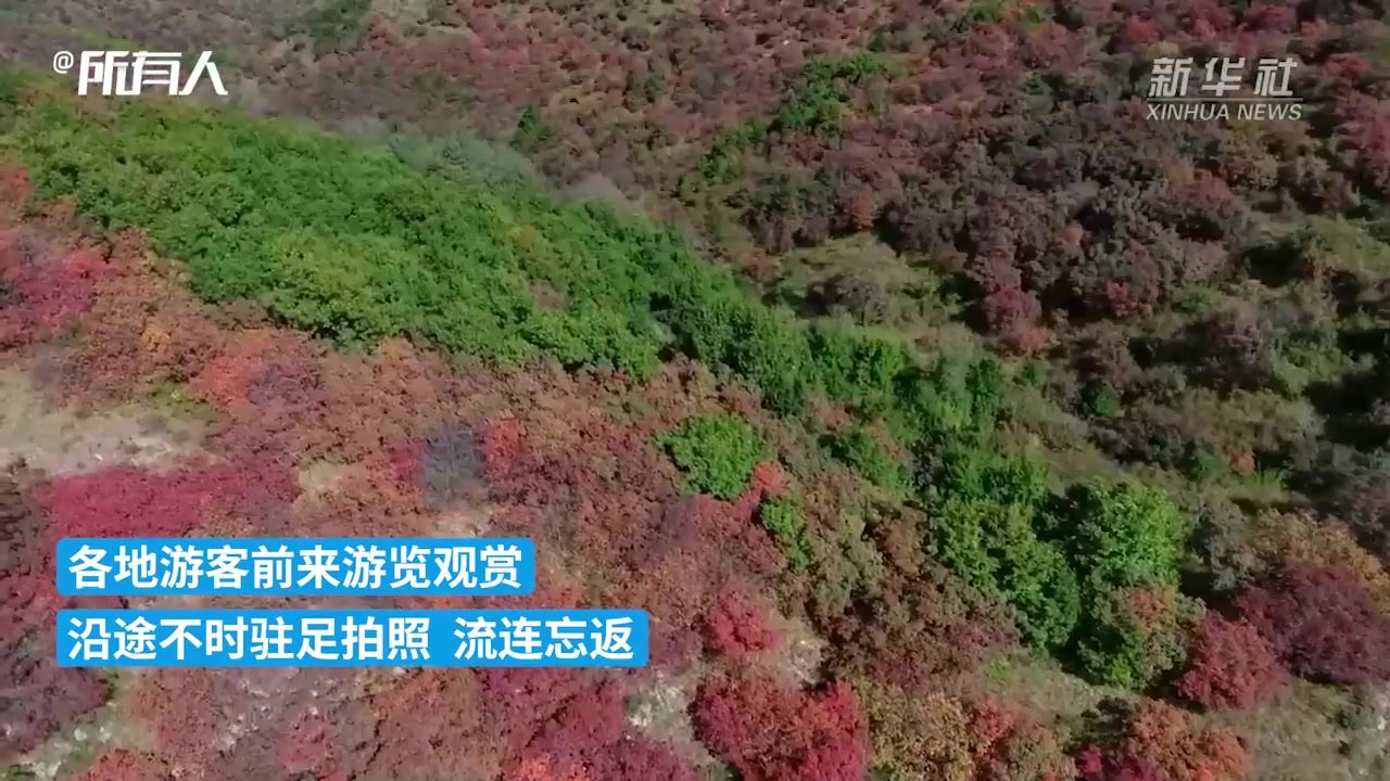 河北涉县：太行红叶似画卷