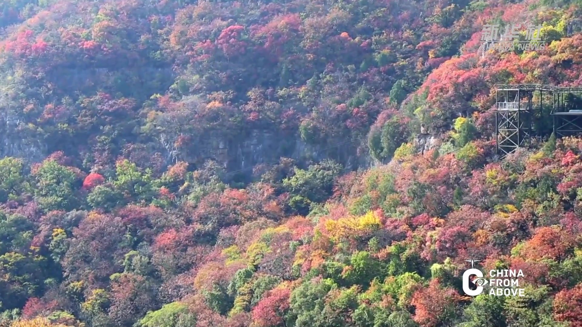 瞰中国丨山东枣庄：正值秋意浓 红叶醉秋色