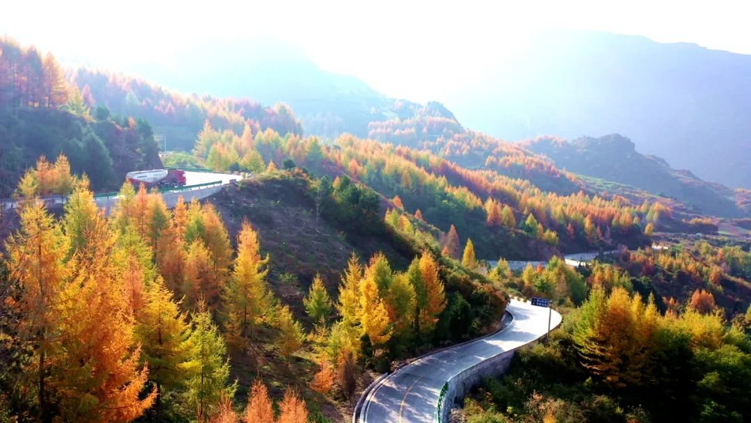 仙境文县 秋染高楼山