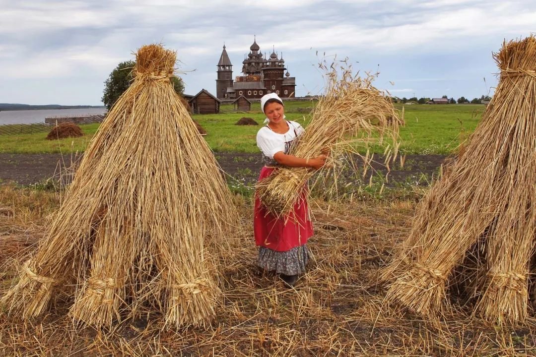 收獲/俄羅斯/王文揚(yáng)